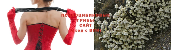 гидра Балабаново
