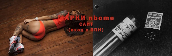 гидра Арсеньев